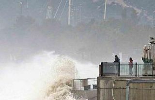 Dev dalgalar sahili dövdü: Martılar balık, define...