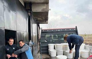 Diyarbakır’da 5 işletmede ele geçirilen 460 kilogram...