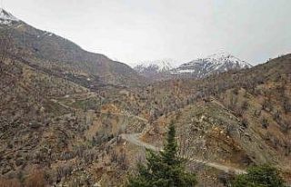 Diyarbakır’da kayıp yaşlı adam 11 gündür aranıyor