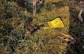 Diyarbakır’da silahlı saldırı: 1 ağır yaralı