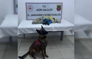 Doğubayazıt’ta 4 kilo 198 gram kubar esrar ele...