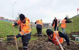 Düzce’de parklarda alt yapı çalışmaları sürüyor