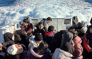 Düzensiz göçmenler karada mahsur kaldı