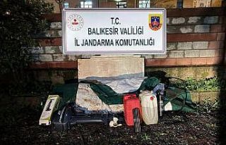 Düzensiz göçmenler zeytinlik alanda yakalandı