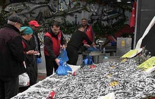 Edirne’de hamsinin kilosu 50 liraya düştü, tezgahlar...