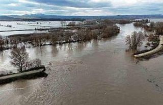Edirne’de yüzlerce dönüm tarım arazisi sular...