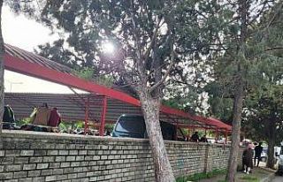 Efekent Pazaryeri’nde rüzgar ağacı devirdi
