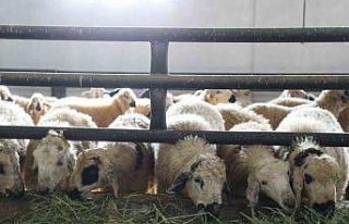 Elazığ’da 6 köy karantinaya alındı