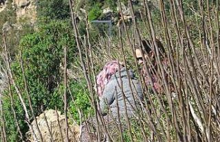 Engelli oğlu için falezlere çıktı, 2 saatte ikna...