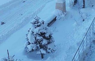 Erciş’te kar yağışı