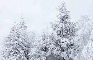 Erzincan için kuvvetli kar yağışı uyarısı