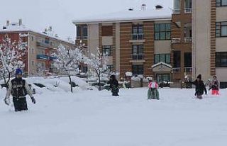 Erzincan’da eğitime kar engeli! Okullar 1 gün...