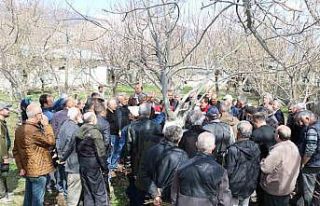 Erzincan’da meyve ağaçlarında budama eğitimi...