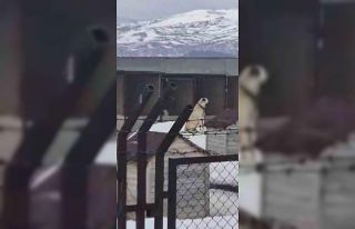 Erzincan’daki deprem öncesi Sivas’taki Kangal...