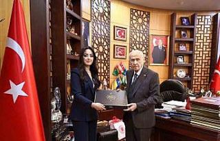 ‘Eserlerle Devlet Bahçeli’ kitabı kamuoyuna...