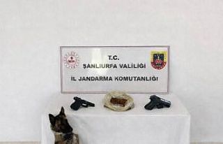 Eyyübiye’de uyuşturucu operasyonu: 1 tutuklama