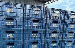 Fanatik üreticinin ‘Kante’ sevgisi: Domatesleri...