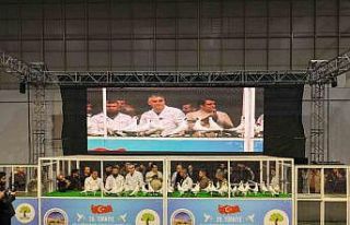 Gaziantep’te ’29. Türkiye Filo Güvercin Güzellik...