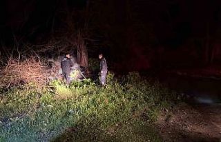 Gazipaşa Selinus Kalesi’ndeki çalılık yangını...