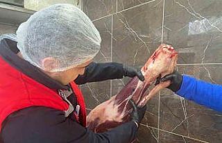 Gıda işletmelerine yönelik denetimler sürüyor