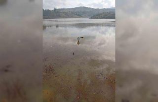 Göletler son yağışlarla doldu