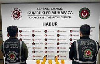 Habur’da ayakkabı içerisinde 41 kilo altın ele...