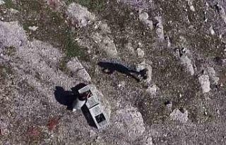 Habur’da ele geçirilen 38 kınalı keklik doğaya...