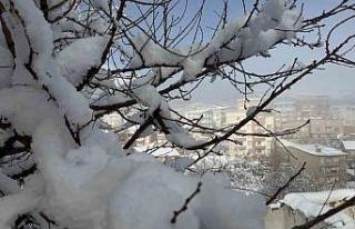 Hakkari’de 144 yerleşim yerinin yolu ulaşıma...