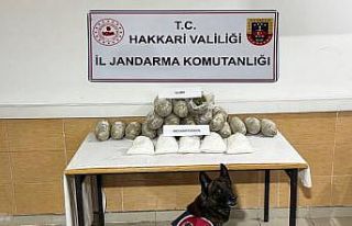 Hakkari’de 22 kilo uyuşturucu ele geçirildi