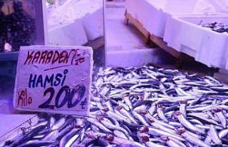 Hamsi tezgahlardaki tahtına yeniden oturdu