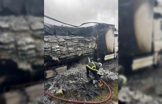 Hamsi yüklü tır alevlere teslim oldu: Dorse kullanılamaz...