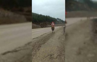 Harmancık yolunun bitmeyen çilesi