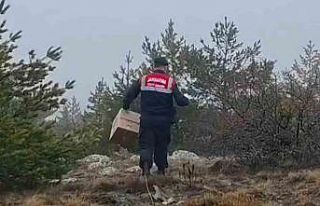 HAYDİ ekipleri doğadaki canlıları unutmadı