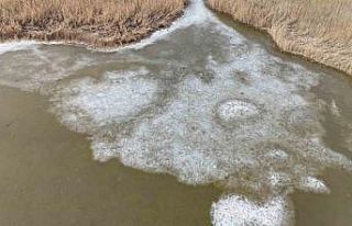 Iğdır’da donan Karasu Sazlığı’nda buzlar...