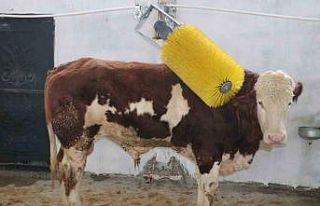 IPARD III ile Erzincan tarımına 178 milyon TL’lik...