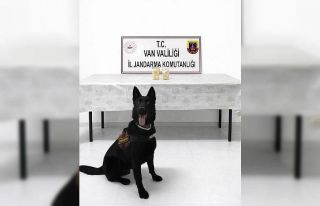 İranlı şahıs üzerinde 510 gram eroin ele geçirildi.