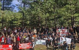 İzciler doğayla buluştu