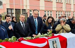 İznik’te 5 gün önceki kazada yaralanan Elif kurtarılamadı