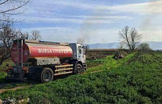 İznik’te rüzgarla birlikte sazlık yangını büyüyor