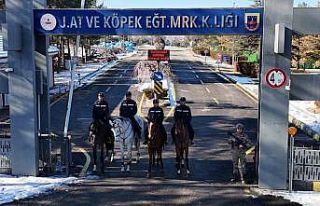 JAKEM’de atlar eğitimde