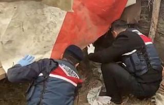 Jandarma, kümese saklanan uyuşturucuyu ele geçirdi:...