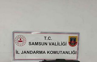 Jandarma ruhsatsız silah ele geçirdi