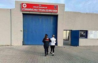 Jandarma tarafından yakalanan 20 kişi tutuklandı