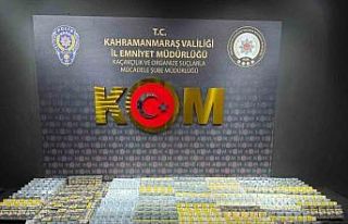 Kahramanmaraş’ta narkotik ve kaçakçılık operasyonu:...