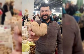 Kalp şeklindeki patates ilgi odağı oldu