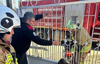 Kapı korkuluğuna sıkışan kediyi itfaiye kurtardı