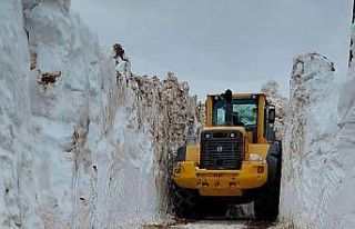 Kar kalınlığının 4 metreyi bulduğu Yüksekova’da...