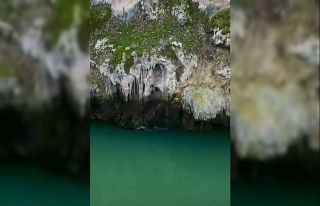 Karakoçan’da su samurları görüntülendi