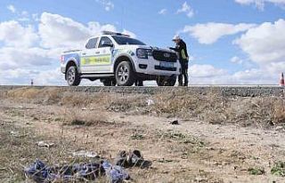 Karaman’da gelincik toplarken otomobilin çarptığı...