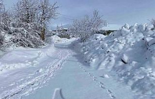 Karlıova’da kar yağışı etkisini sürdürüyor